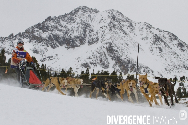 La Pirena Course de chiens de Traineau