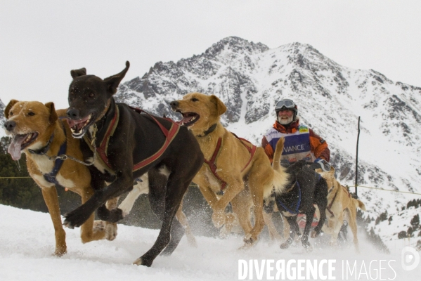 La Pirena Course de chiens de Traineau