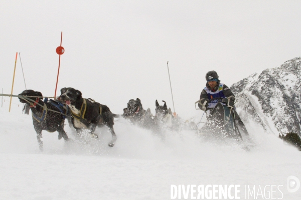 La Pirena Course de chiens de Traineau