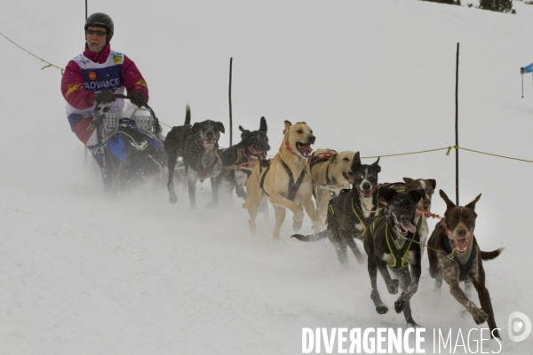 La Pirena Course de chiens de Traineau