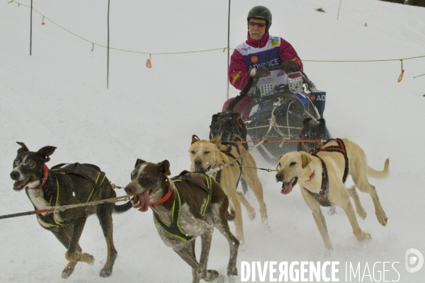 La Pirena Course de chiens de Traineau