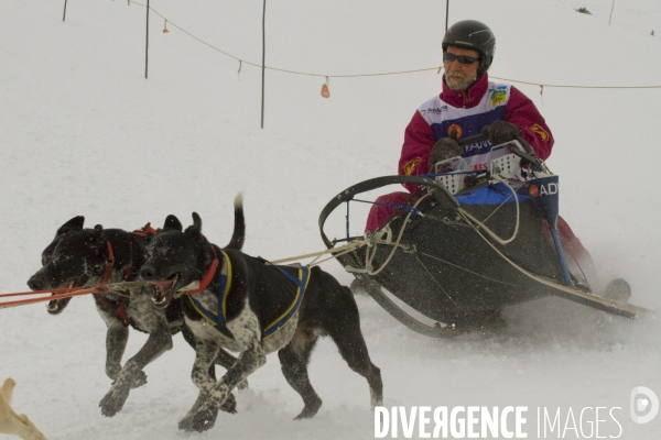 La Pirena Course de chiens de Traineau