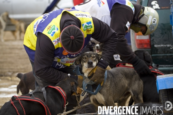La Pirena Course de chiens de Traineau