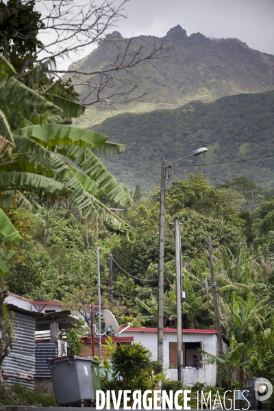Guadeloupe : a portrait of an island #### portrait d une ile