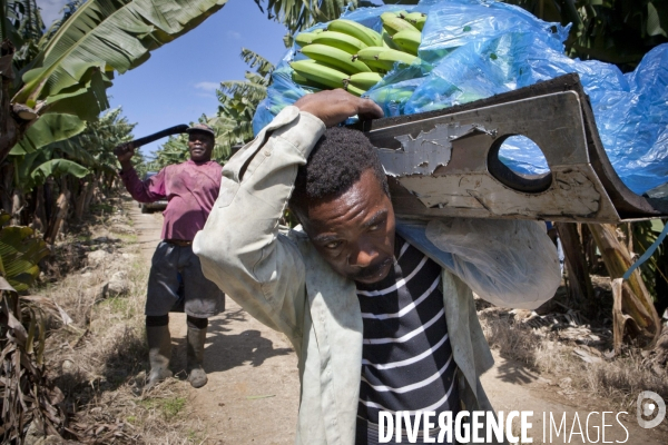 Guadeloupe : a portrait of an island #### portrait d une ile
