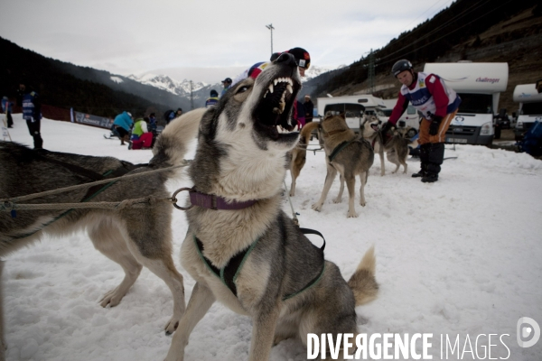 La Pirena Course de chiens de Traineau