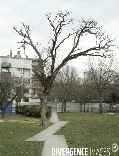 Bagnolet. Seine-Saint-Denis