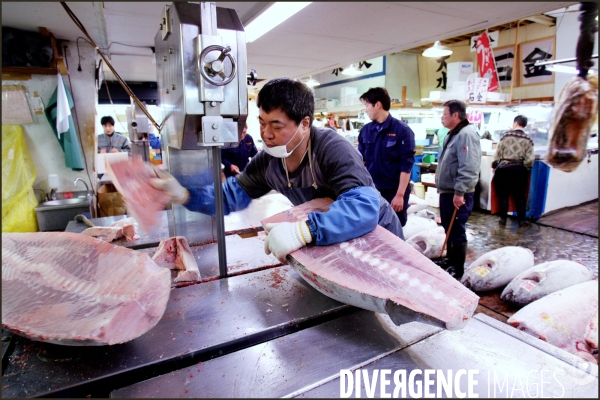L Empire du thon : le marché aux poissons de Tsukiji