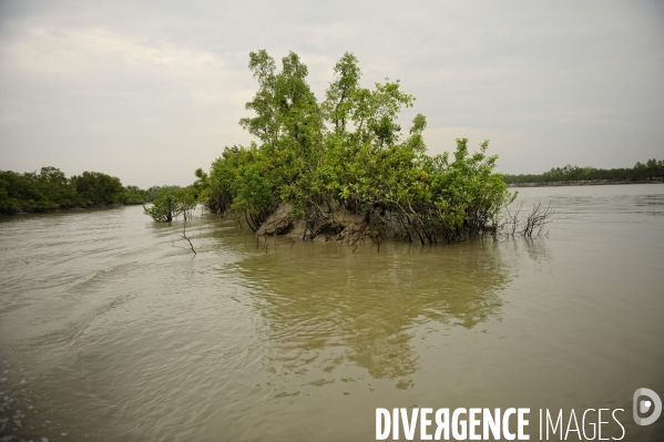 Changement climatique au Bangladesh