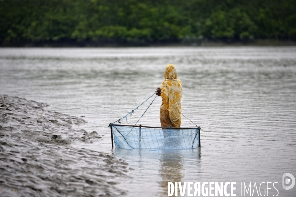 Changement climatique au Bangladesh