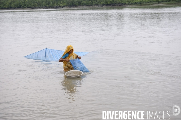 Changement climatique au Bangladesh