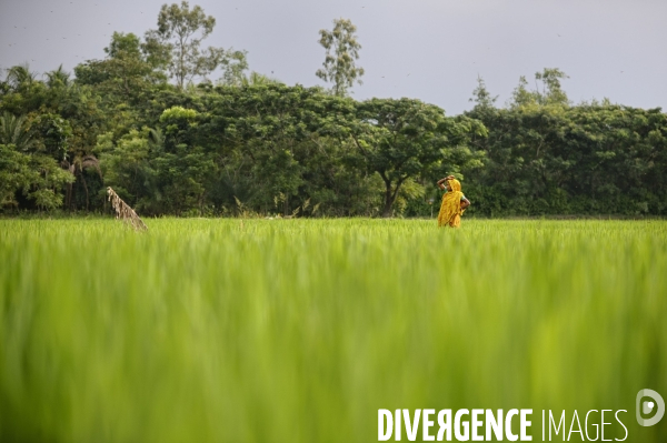 Changement climatique au Bangladesh