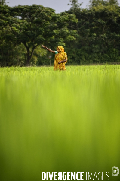 Changement climatique au Bangladesh