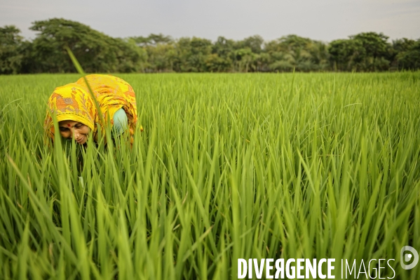 Changement climatique au Bangladesh