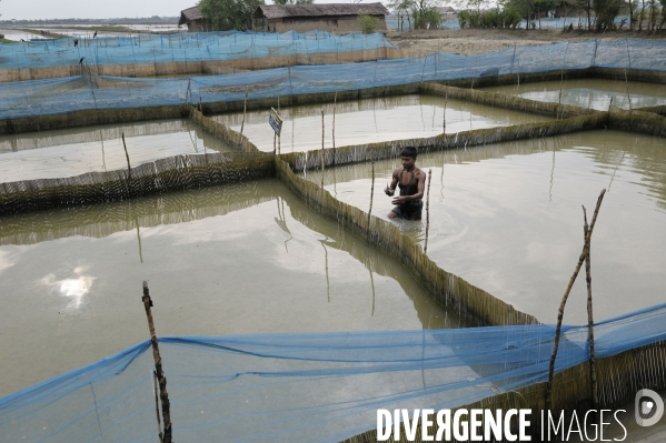 Changement climatique au Bangladesh