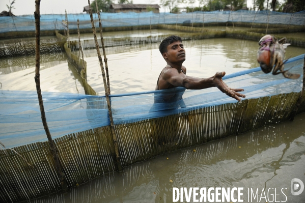 Changement climatique au Bangladesh