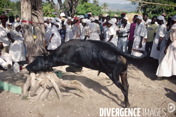 Voodoo in haiti - le vaudou a haiti