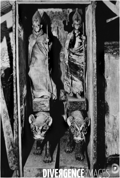 EGYPTE : Le Trésor de TOUTANKHAMON. XVIIIe dynastie