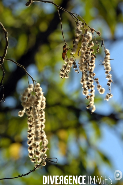 MEXIQUE: Etat du CHIAPPAS - Diversite naturelle, geograaphique, ethnographique et culturelle