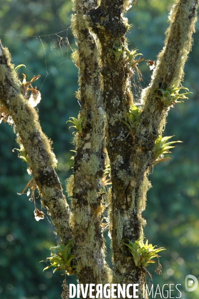 MEXIQUE: Etat du CHIAPPAS - Diversite naturelle, geograaphique, ethnographique et culturelle