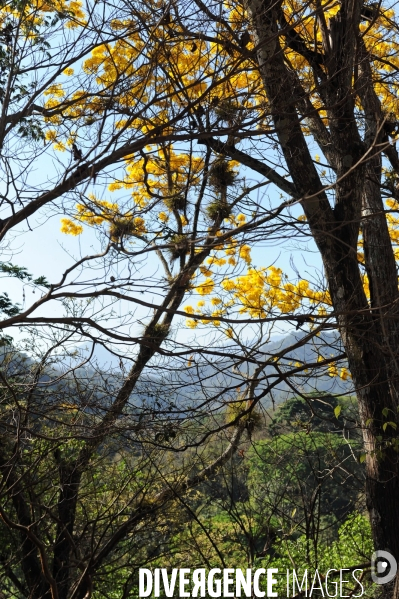 MEXIQUE: Etat du CHIAPPAS - Diversite naturelle, geograaphique, ethnographique et culturelle