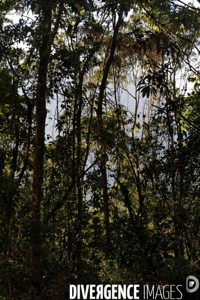 MEXIQUE: Etat du CHIAPPAS - Diversite naturelle, geograaphique, ethnographique et culturelle