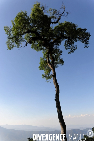 MEXIQUE: Etat du CHIAPPAS - Diversite naturelle, geograaphique, ethnographique et culturelle