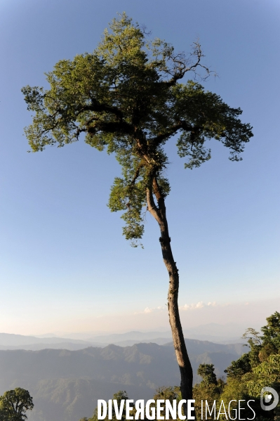 MEXIQUE: Etat du CHIAPPAS - Diversite naturelle, geograaphique, ethnographique et culturelle