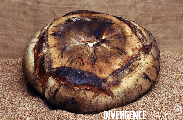 Pain - Artisan Boulanger.