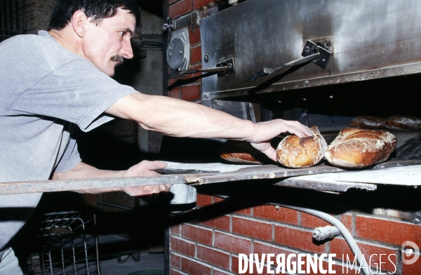 Pain - Artisan Boulanger.