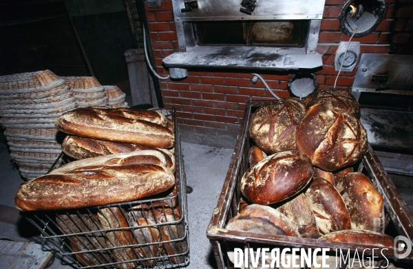 Pain - Artisan Boulanger.