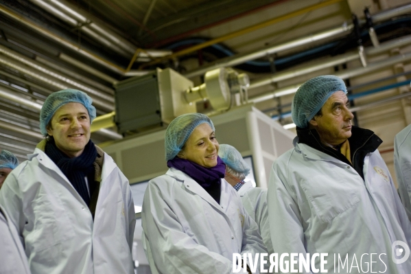 Usine d agroalimentaire   Dailycer  dans la somme