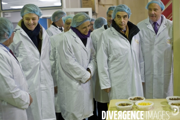 Usine d agroalimentaire   Dailycer  dans la somme