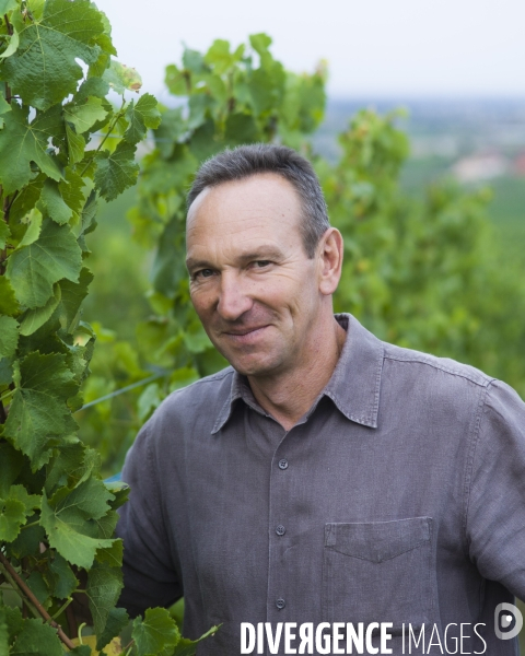 Yves Dietrich, viticulteur