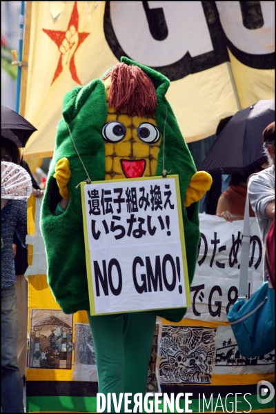 Manifestation contre le G8 a Sapporo