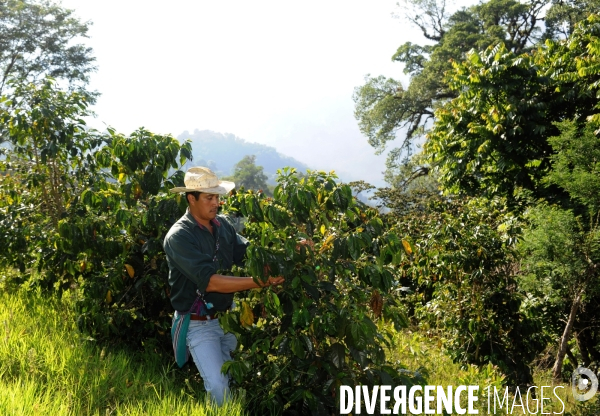 MEXIQUE: Etat du CHIAPPAS - Diversite naturelle, geograaphique, ethnographique et culturelle