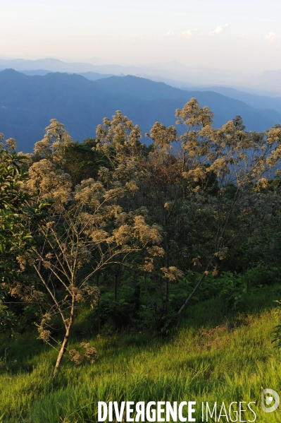 MEXIQUE: Etat du CHIAPPAS - Diversite naturelle, geograaphique, ethnographique et culturelle