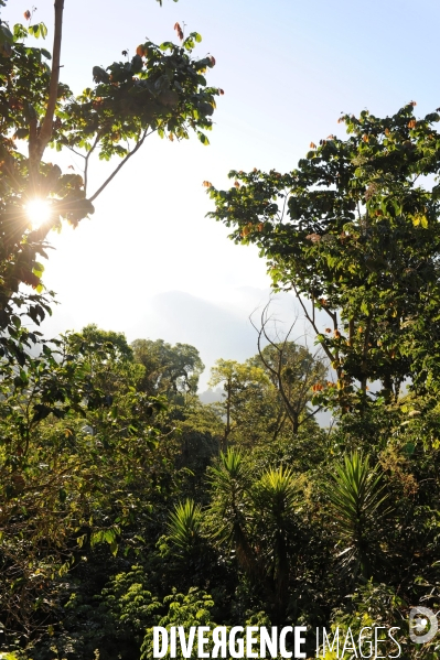 MEXIQUE: Etat du CHIAPPAS - Diversite naturelle, geograaphique, ethnographique et culturelle