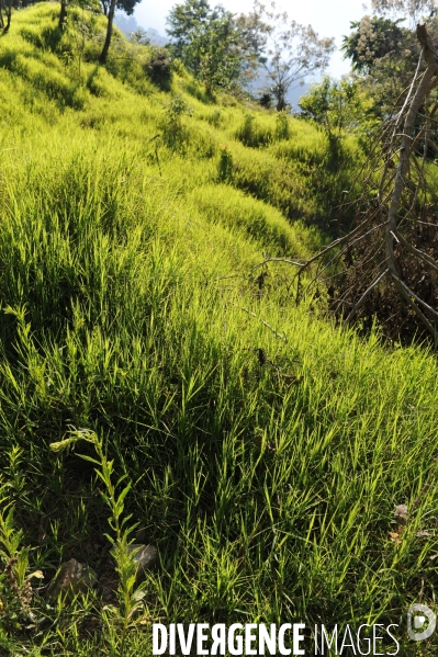 MEXIQUE: Etat du CHIAPPAS - Diversite naturelle, geograaphique, ethnographique et culturelle