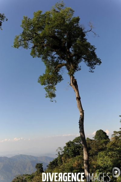 MEXIQUE: Etat du CHIAPPAS - Diversite naturelle, geograaphique, ethnographique et culturelle