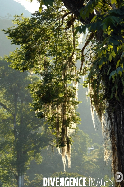 MEXIQUE: Etat du CHIAPPAS - Diversite naturelle, geograaphique, ethnographique et culturelle