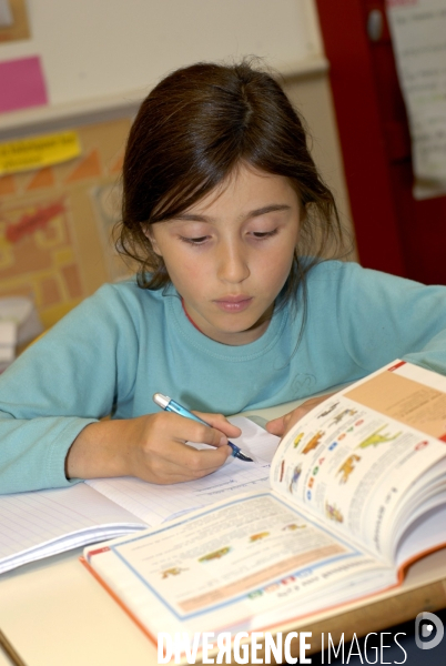 Ecole primaire : enfant en classe CE1 à CE2. School pupil in class