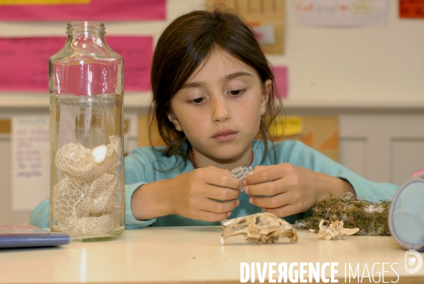 Ecole primaire : enfant en classe CE1 à CE2. School pupil in class