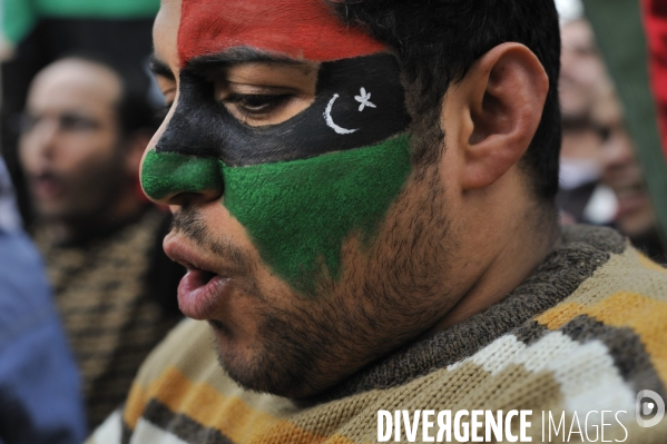 Manifestation de libyens en soutien aux leurs au pays.