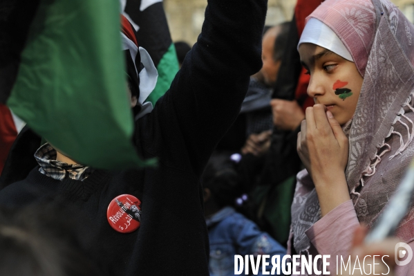 Manifestation de libyens en soutien aux leurs au pays.