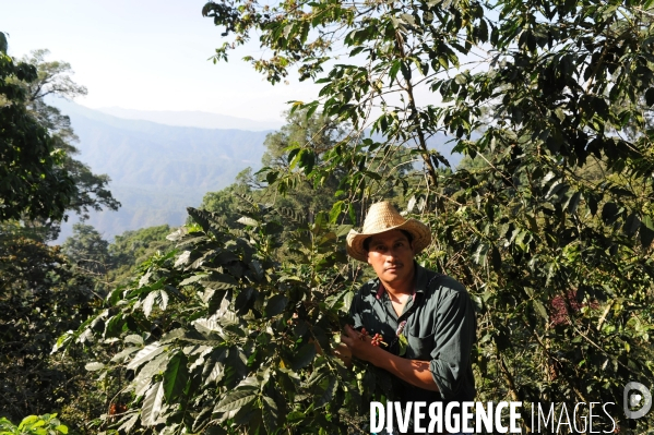 MEXIQUE: Etat du CHIAPPAS - Diversite naturelle, geograaphique, ethnographique et culturelle