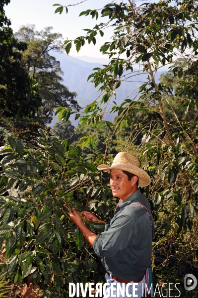 MEXIQUE: Etat du CHIAPPAS - Diversite naturelle, geograaphique, ethnographique et culturelle