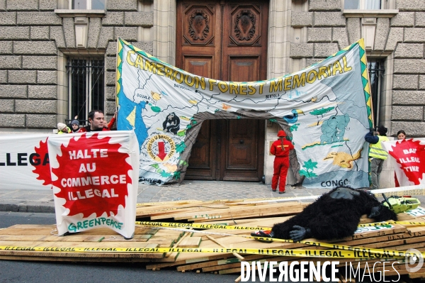 Actions Greenpeace