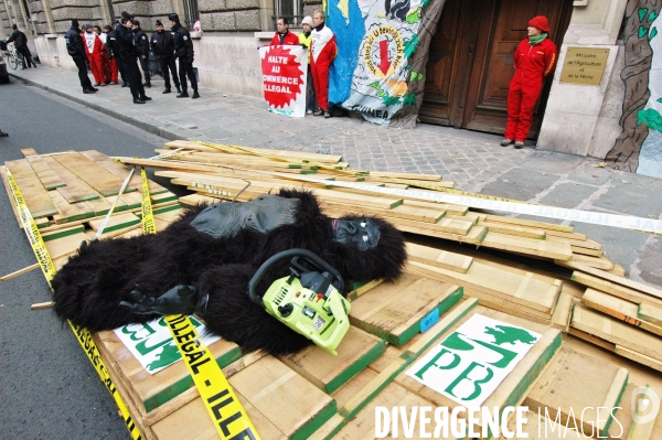 Actions Greenpeace