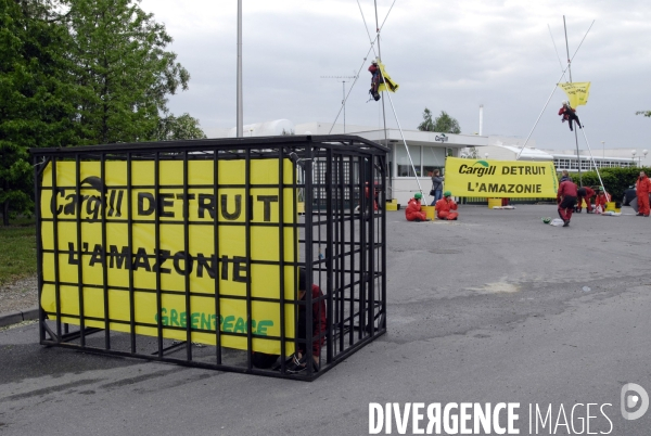 Actions Greenpeace